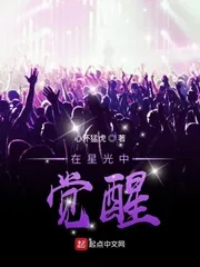 《在星光中觉醒》小说封面