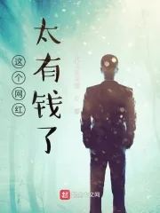 《这个网红太有钱了》小说封面