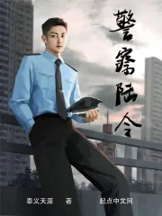 《警察陆令》小说封面