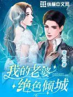 《我的老婆绝色倾城》小说封面