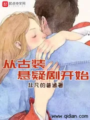 《从古装悬疑剧开始》小说封面