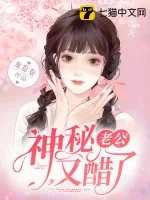 《神秘老公又醋了》小说封面