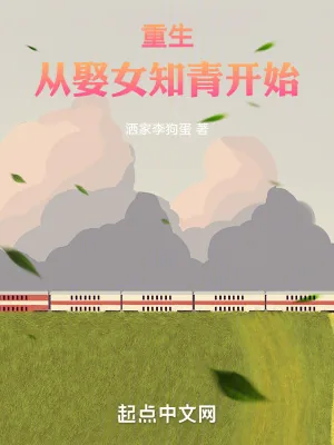 《重生从娶女知青开始》小说封面