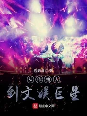 《从作曲人到文娱巨星》小说封面