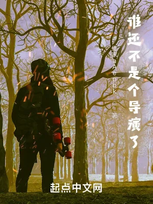 《谁还不是个导演了》小说封面