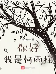 《你好我是何雨柱》小说封面