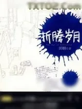 《折腾岁月》小说封面