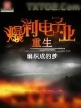 《重生爆利电子业》小说封面