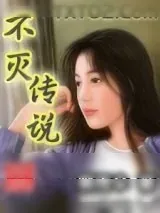 《不灭传说》小说封面