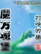 《魔方城堡》小说封面