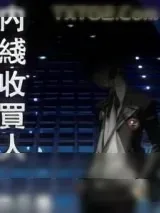 《内线收买人》小说封面