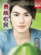 《贵族农民》小说封面