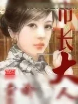 《市长大人》小说封面