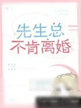 《先生总不肯离婚》小说封面