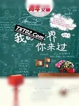 《我的世界你来过》小说封面
