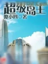 《超级岛主》小说封面