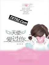 《天使爱过你》小说封面