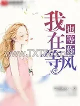《我在等风也等你》小说封面