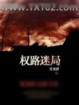 《权路迷局》小说封面