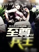 《至尊兵王（不大不小的梦想家）》小说封面