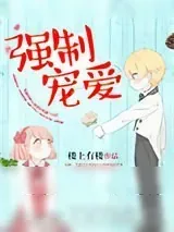 《强制宠爱》小说封面