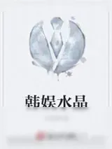 《韩娱水晶》小说封面