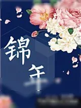 《锦年》小说封面