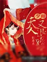 《报告，夫人又退婚了》小说封面