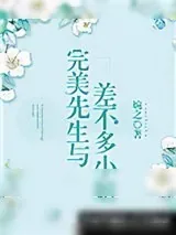 《完美先生与差不多小姐》小说封面