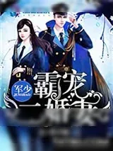 《军少霸宠二婚妻》小说封面