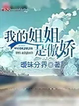 《我的姐姐是傲娇》小说封面