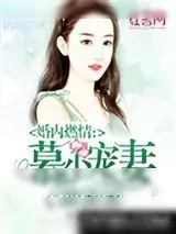 《婚内燃情：慕少宠妻甜蜜蜜》小说封面