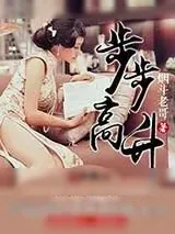 《步步高升》小说封面