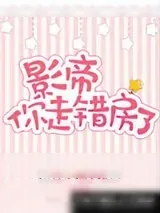 《影帝，你走错房了》小说封面