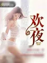 《欢夜》小说封面