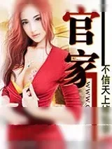 《官家》小说封面