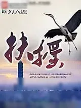 《扶摇》小说封面