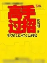 《高手过招》小说封面