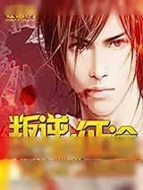 《叛逆的征途》小说封面