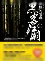 《疯狂的硬盘》小说封面
