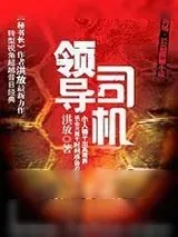 《领导司机:名利场小人物必修的权谋心经》小说封面