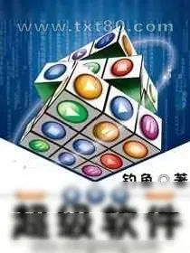 《超级软件》小说封面
