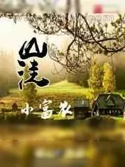 《山洼小富农》小说封面