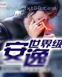 《世界级安逸》小说封面