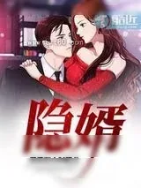 《隐婿》小说封面