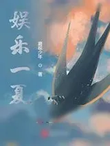 《娱乐一夏》小说封面