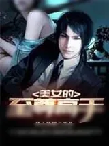 《美女的至尊高手》小说封面