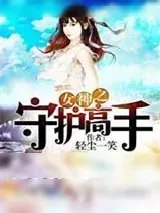 《女神之守护高手》小说封面