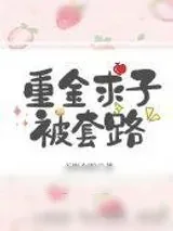 《重金求子被套路》小说封面