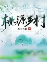 《桃源乡村》小说封面